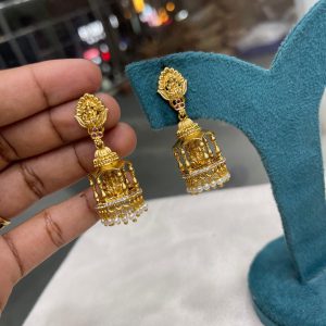 New launching EARING. MF5300 – FM GNDU LAKSHMI
